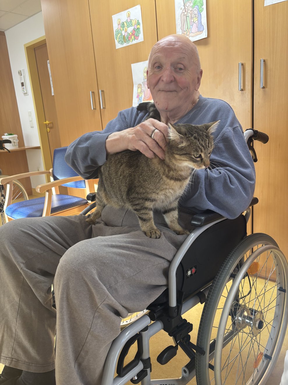 Kater erfreut sich über die Streicheleinheiten