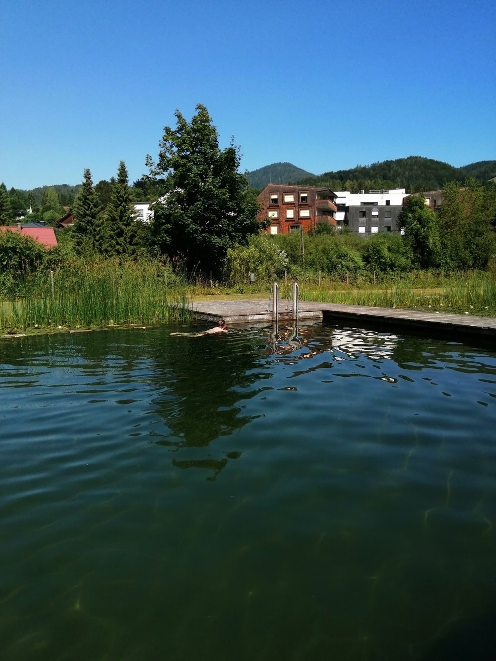 Besuch im Naturschwimmbad
