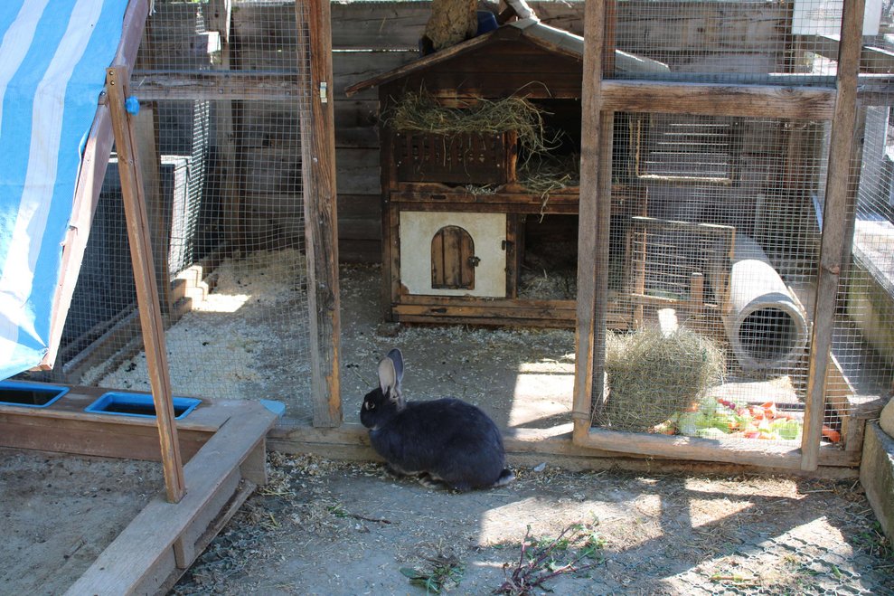 Tiergehege im Wohlfühlgarten