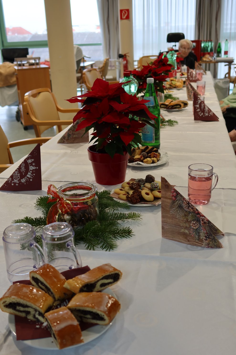 Weihnachtssterne