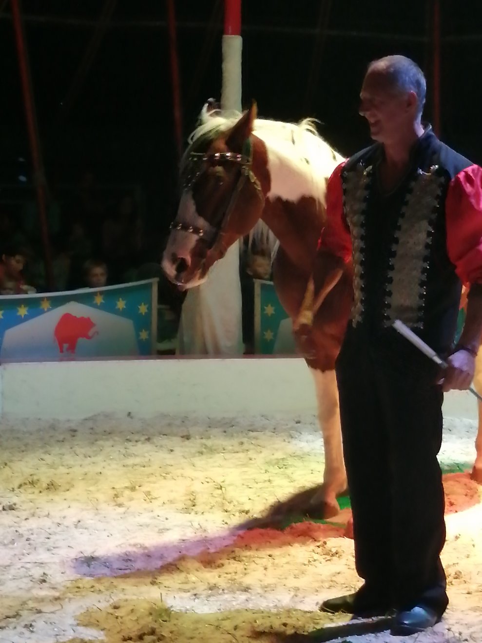 Zirkus