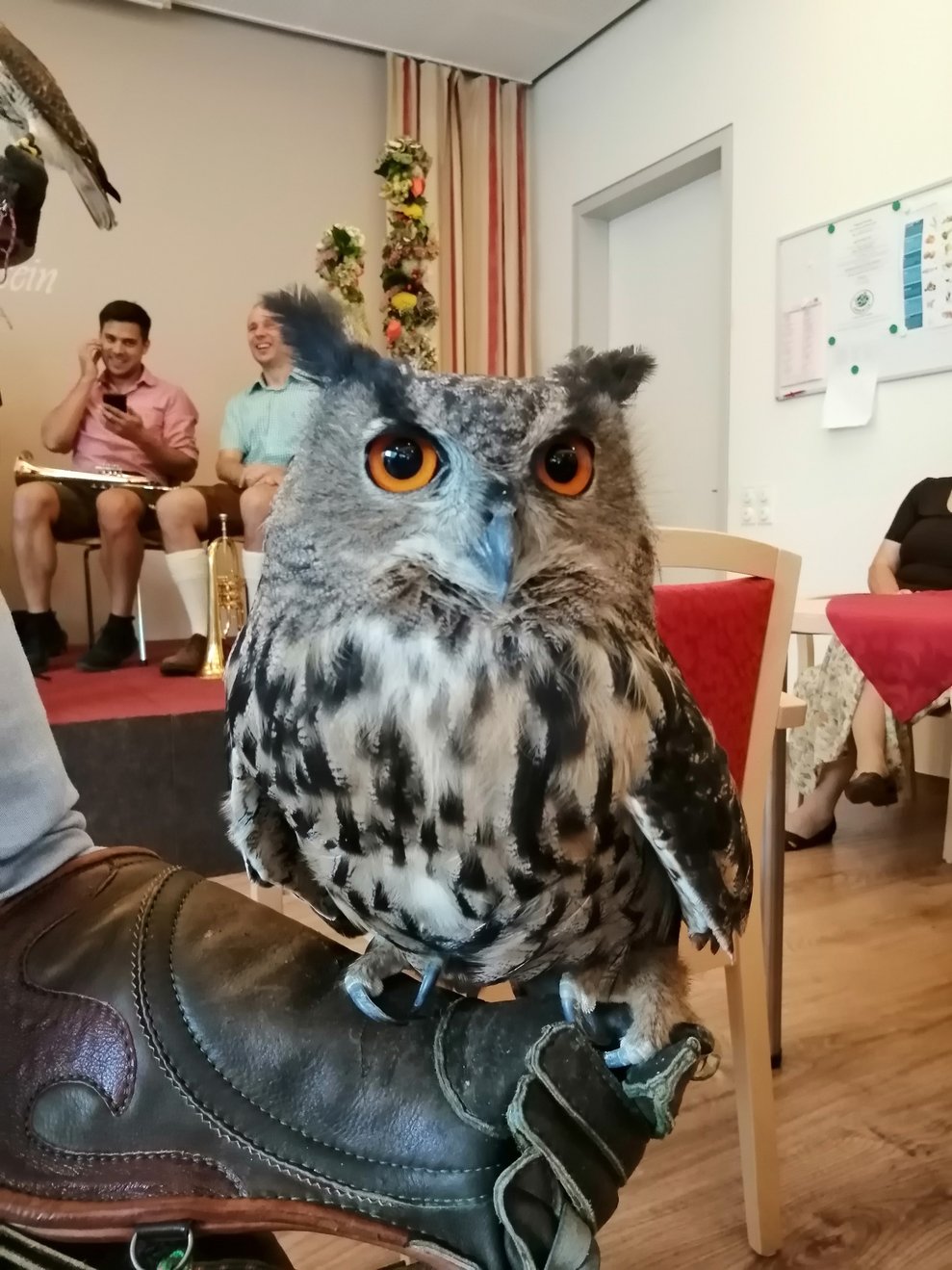 Eine Eule