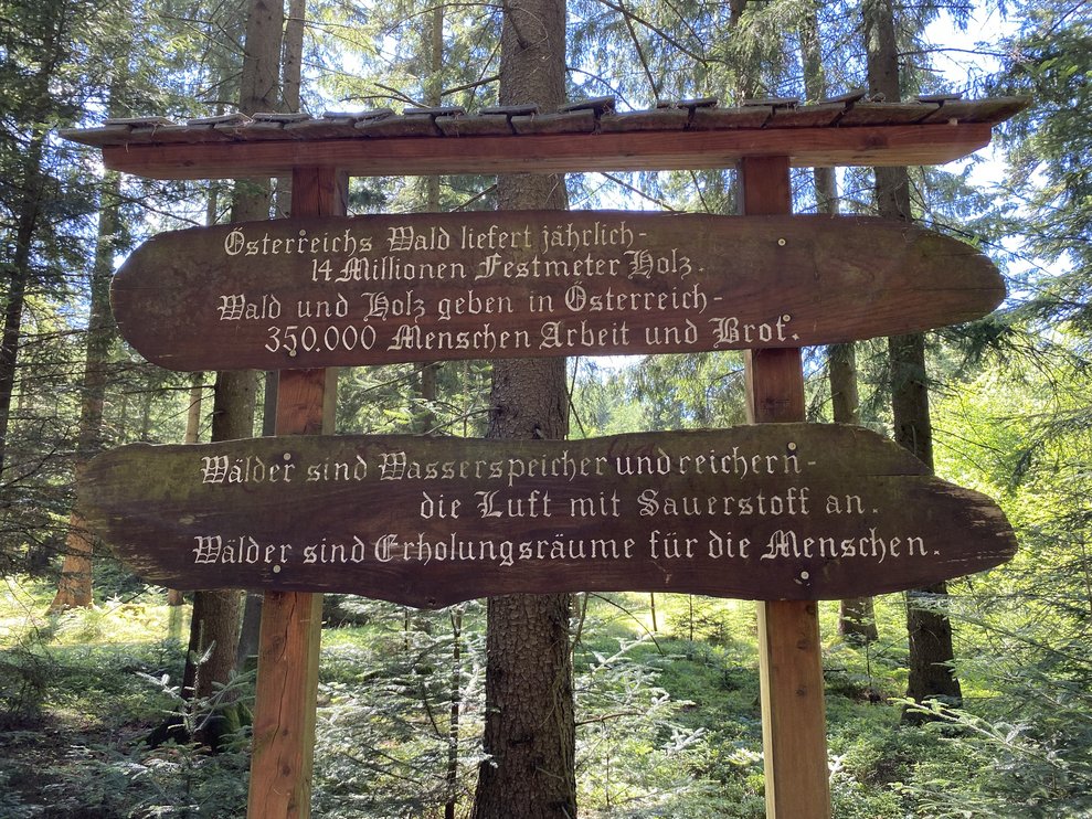 Interessantes über den Wald.
