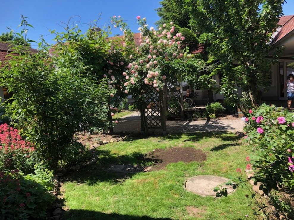 Garten.
