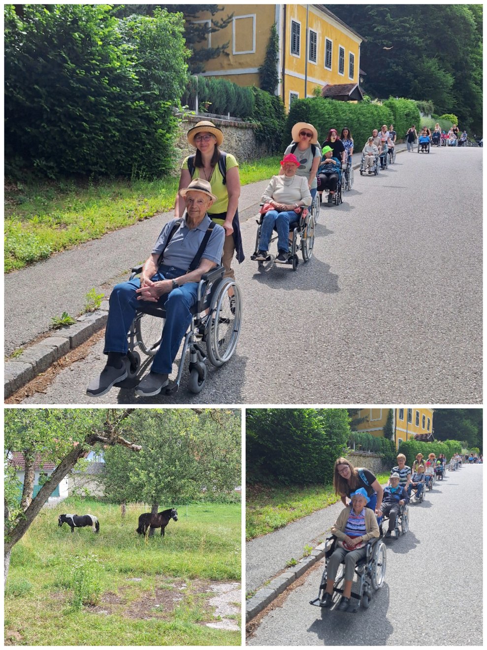 Heute ist Sonnenschutz ganz besonders wichtig. Ordentlich mit Sonnencreme versorgt und gut "behütet" geht es die Altenheimstraße entlang Richtung Gleißenfeld. Wo es wie immer viel zu sehen und entdecken gibt.