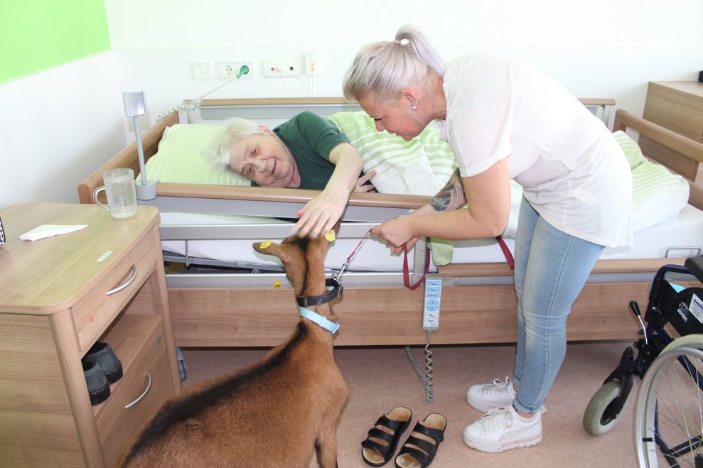 …und sorgen dort für strahlende Gesichter.