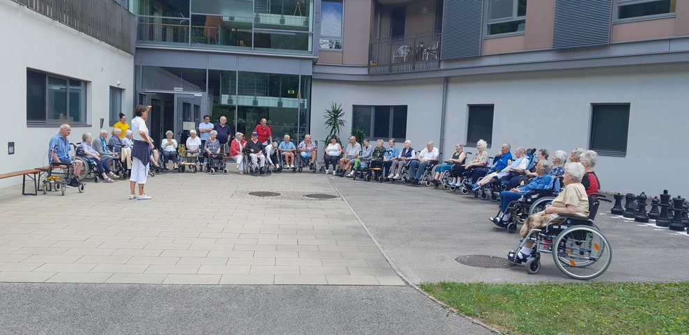 Die Alpakas kommen.