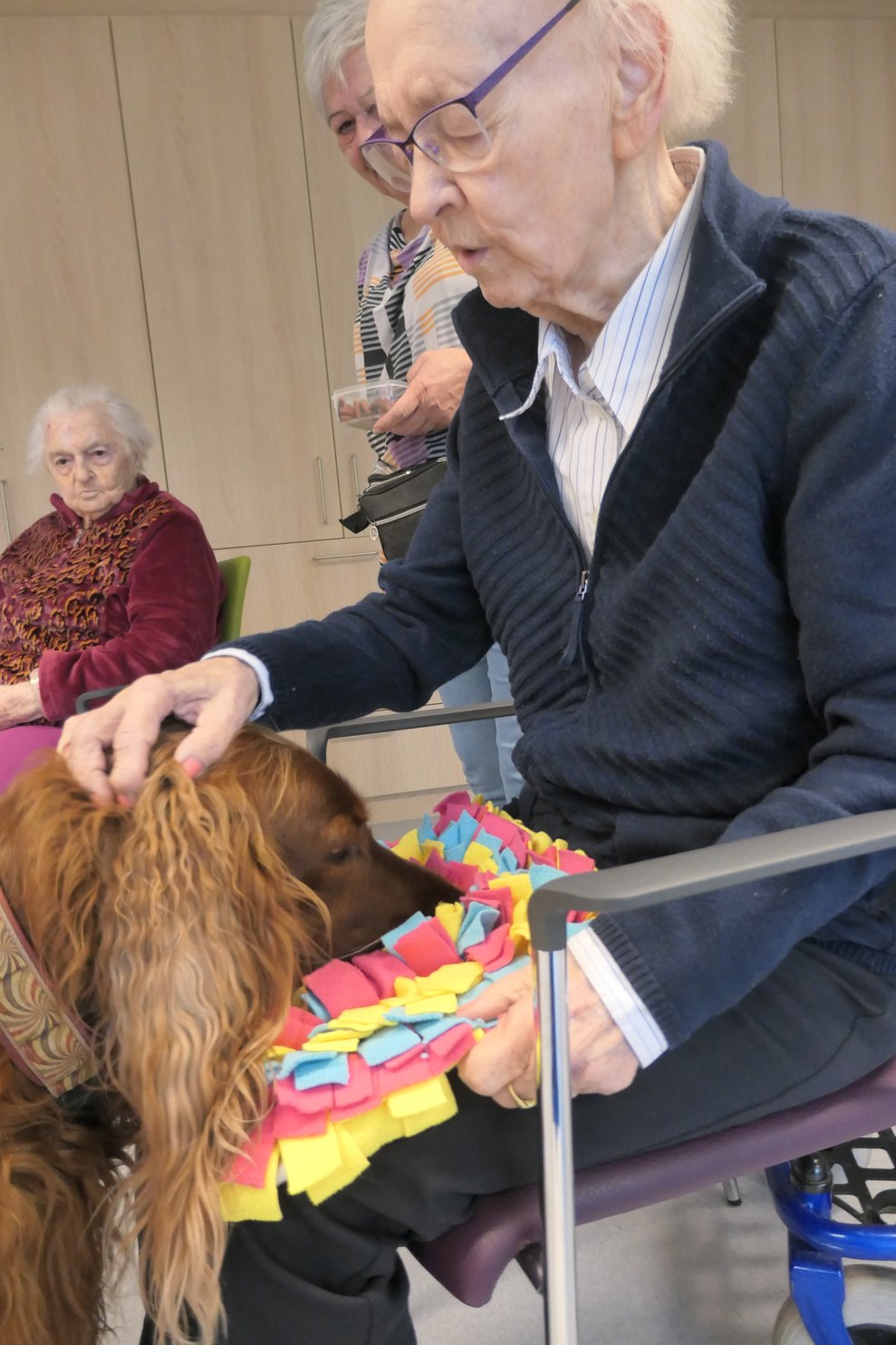 Eine Dame lässt Lucy an einem Gegenstand schnuppern.