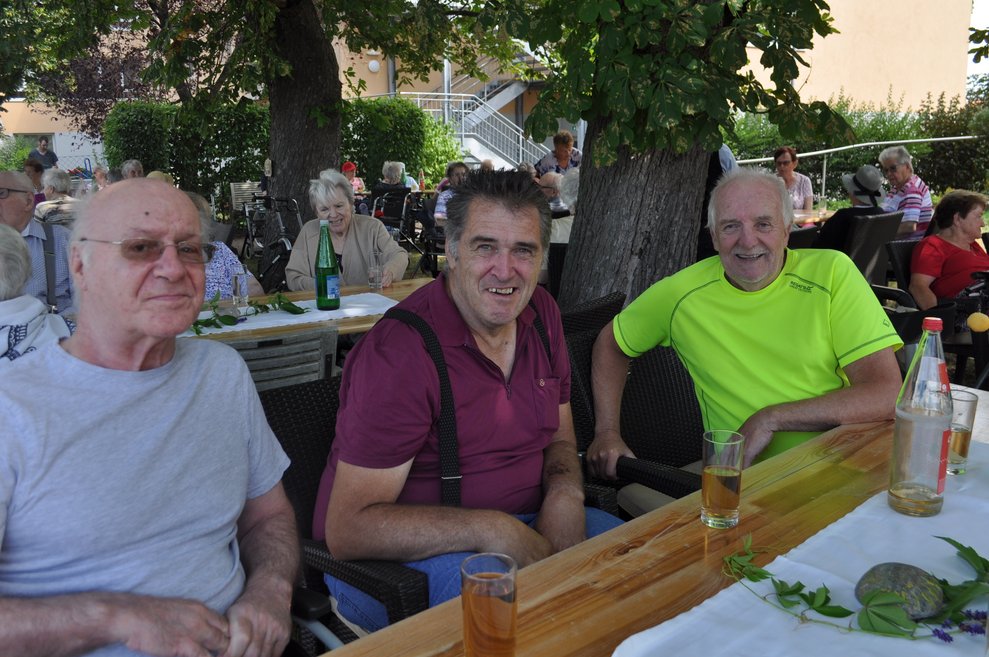 drei ältere Herren bei Tisch im Garten