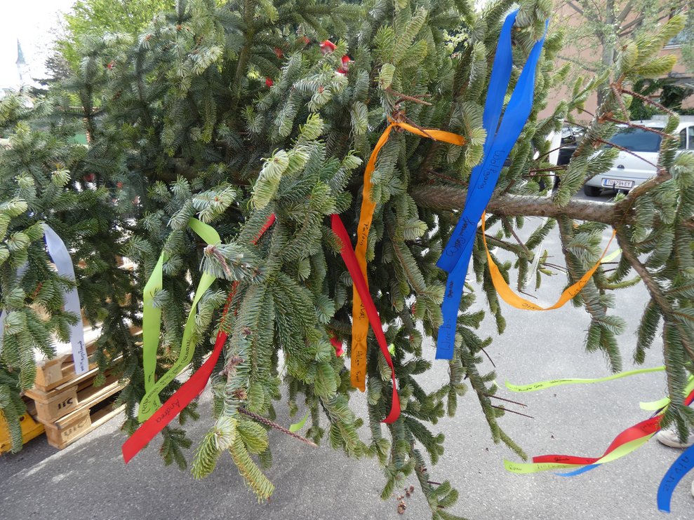 Maibaum