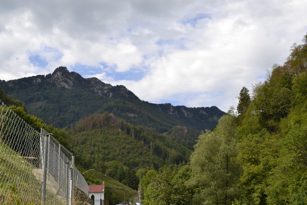 Landschaft