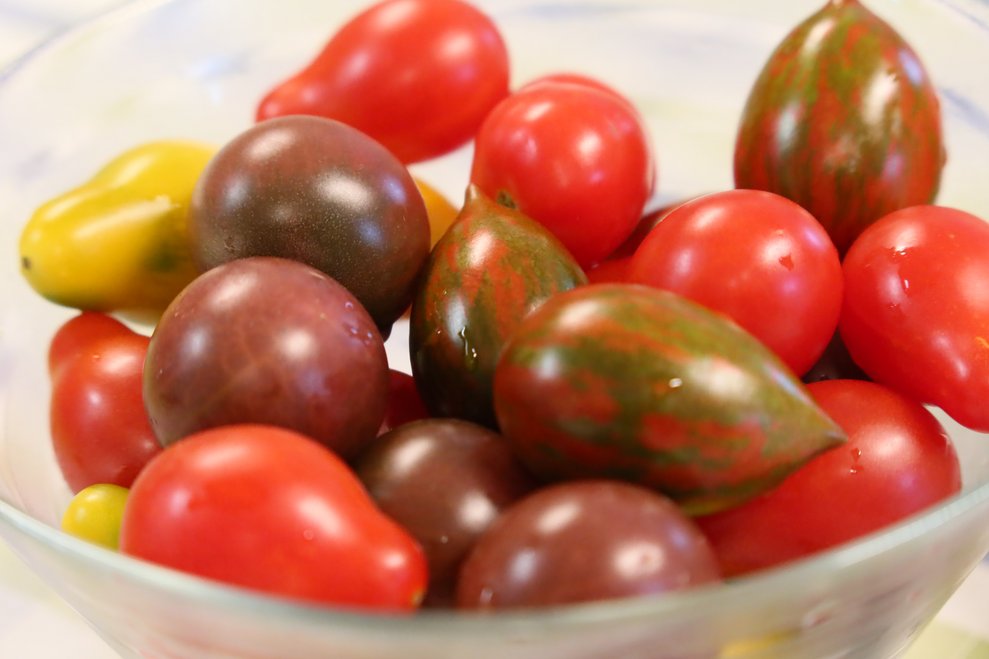 Tomaten
