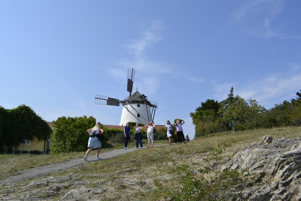 Windmühle