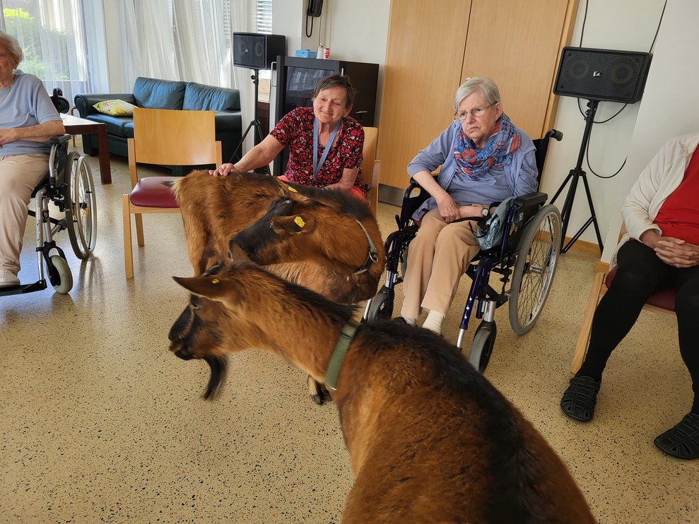 Die zutraulichen Tiere hatten keine Berührungsängste. 