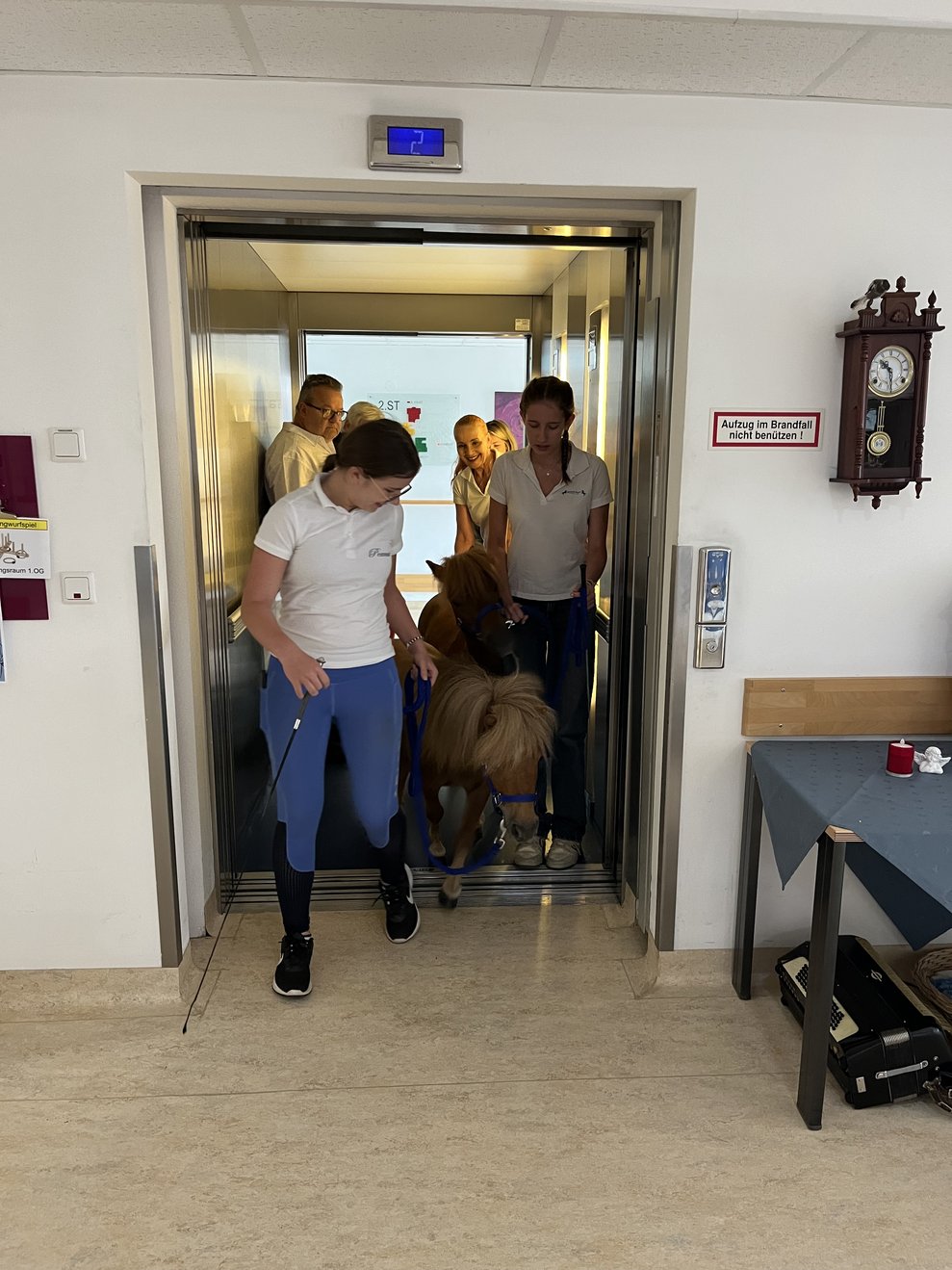 Ponys fahren Lift