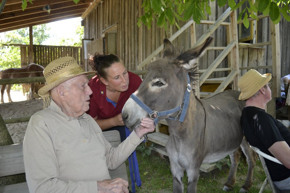 Pony mit Leuten
