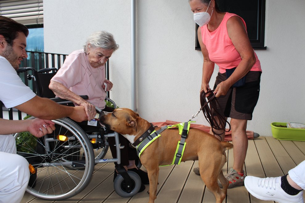 Wir freuen uns schon sehr darauf, weiterhin mit dem Team des Hundesportzentrums Marchfeld solche Nachmittage zu verbringen!