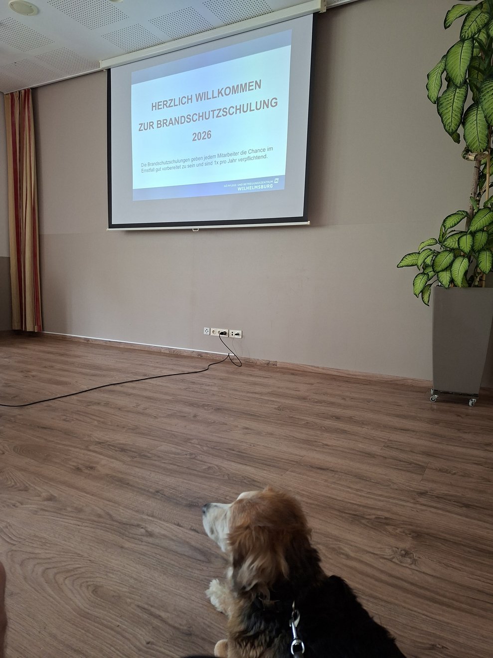 Bild der Präsentation.