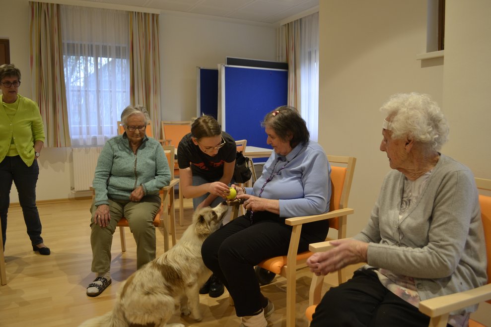 Menschen mit Hund