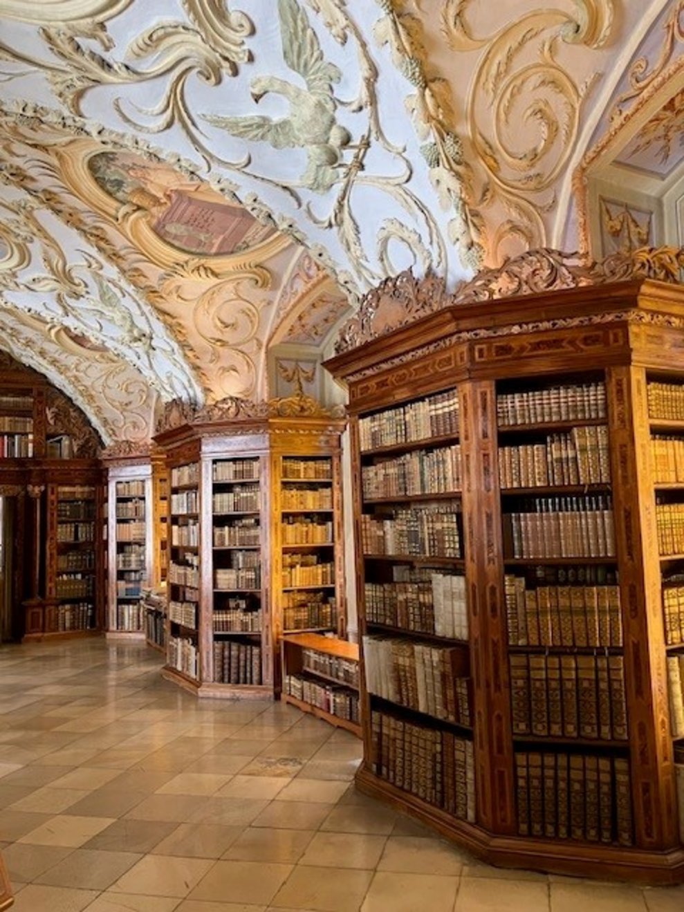 Regale und Fresken in der Stiftsbibliothek.