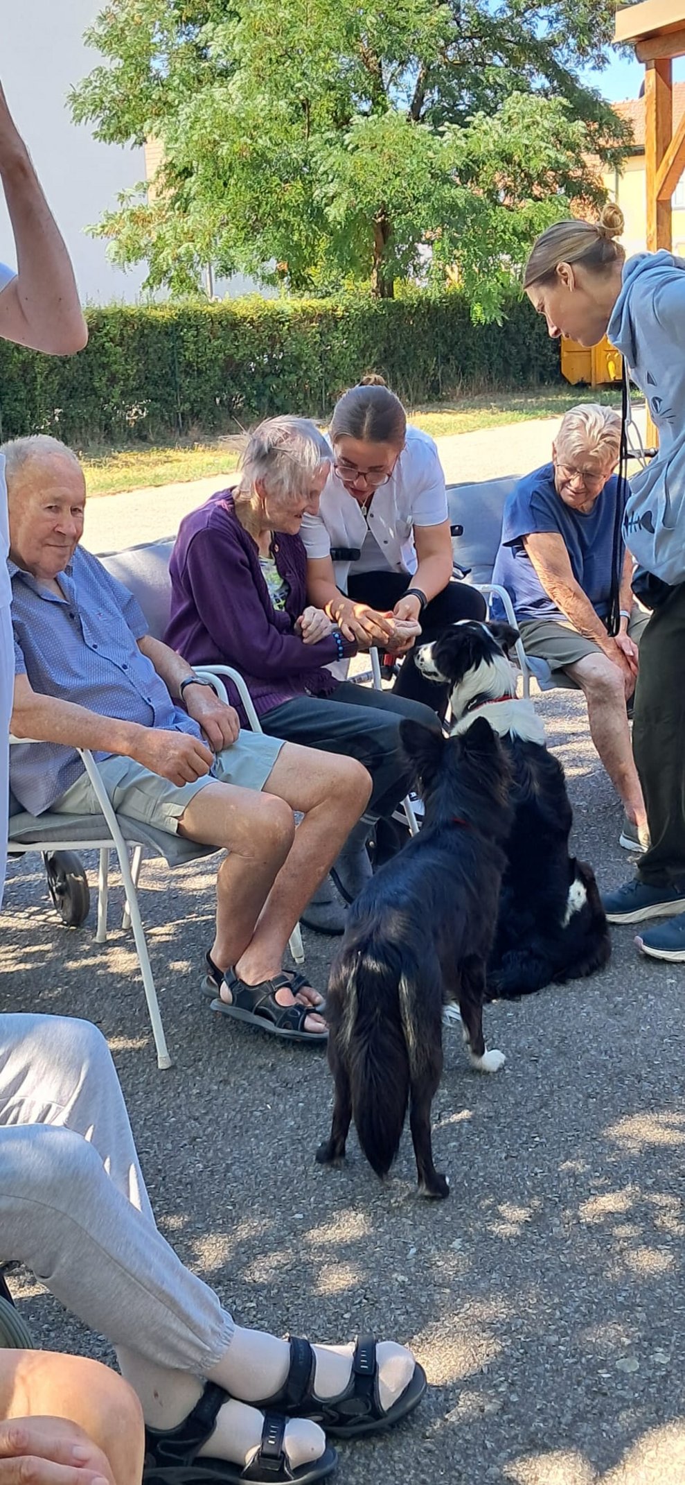 Praktikantin unterstützt Bewohnerin das Leckerli für den Hund in die Hand zu nehmen. Ein Hund sitzt und ein Hund steht.