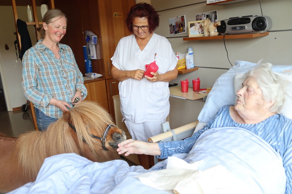 Da steht ein Pferd auf dem Flur....
