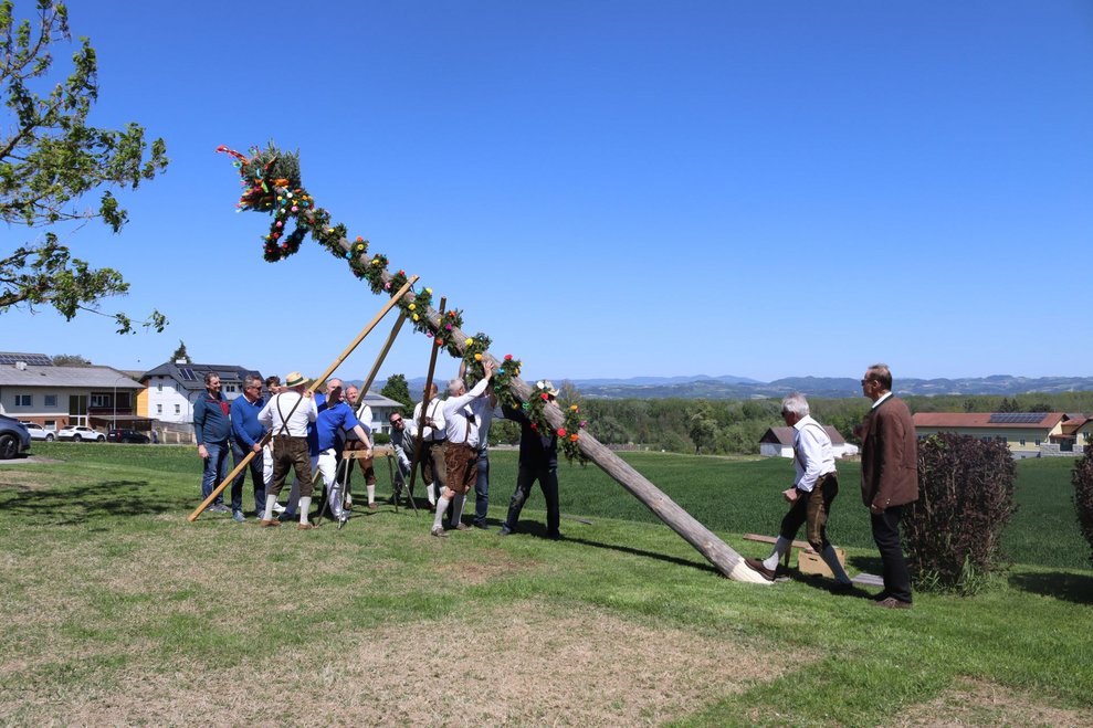 Maibaumfest
