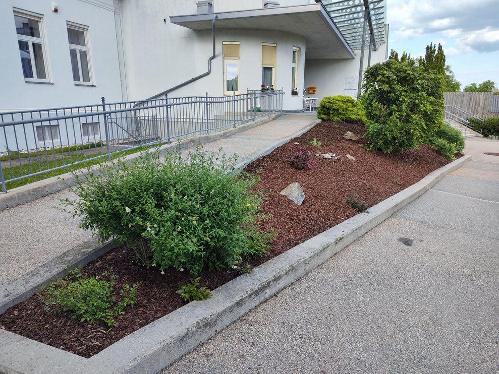 Blumenbeet mit Pflanzen und mit braunen Rindenmulch.