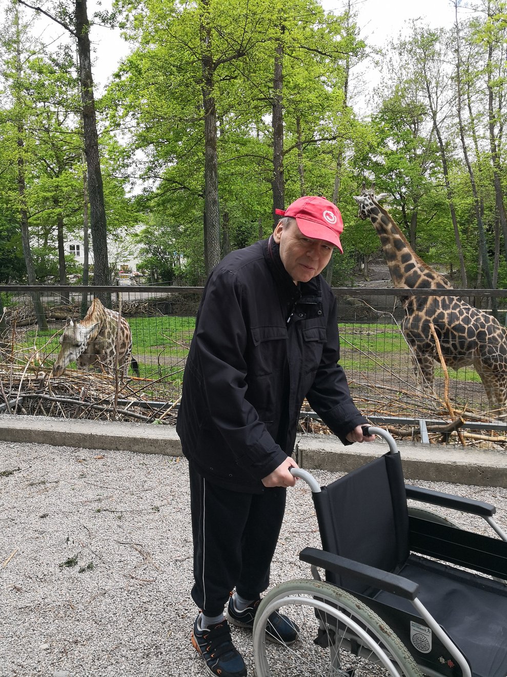 Bewohner und Giraffe