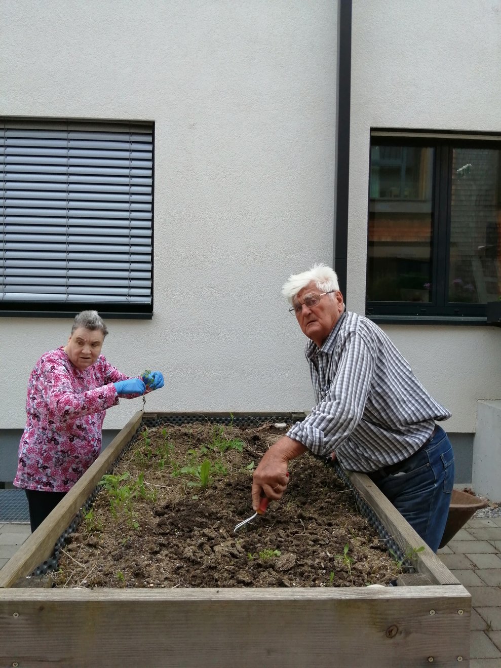 Hochbeet bepflanzen