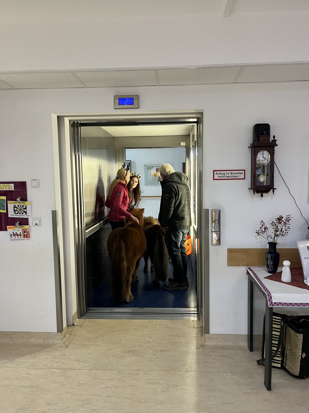 Ponys im Lift im PBZ