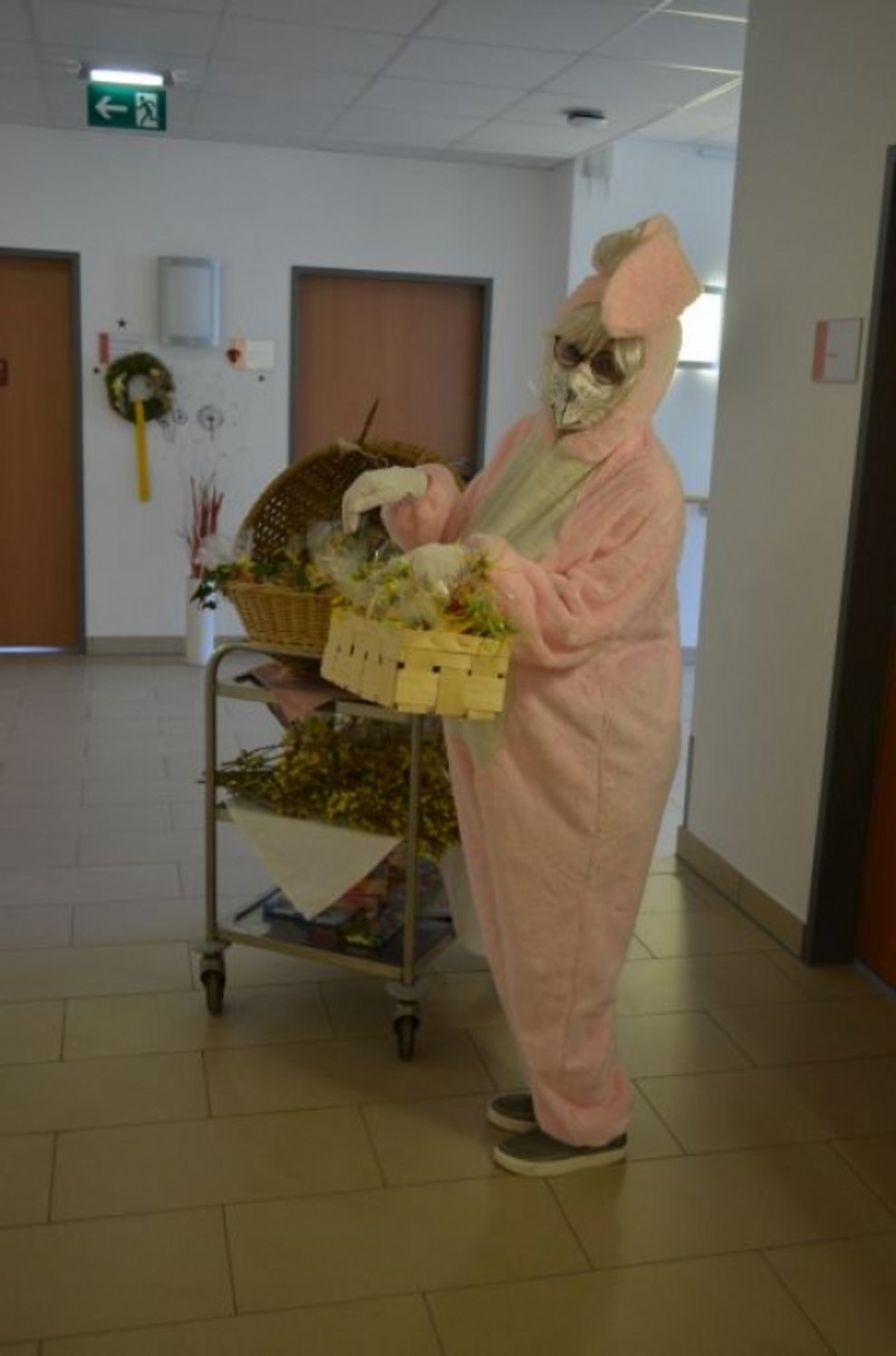 Eine Person, die als Osterhase verkleidet ist. 