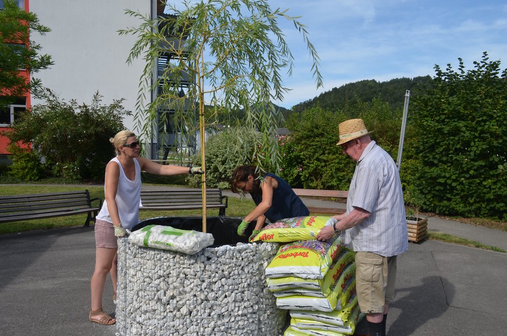 Bewohner pflanzt Baum ein