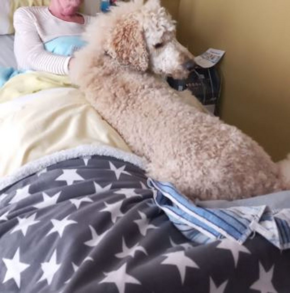 zu Besuch im Zimmer