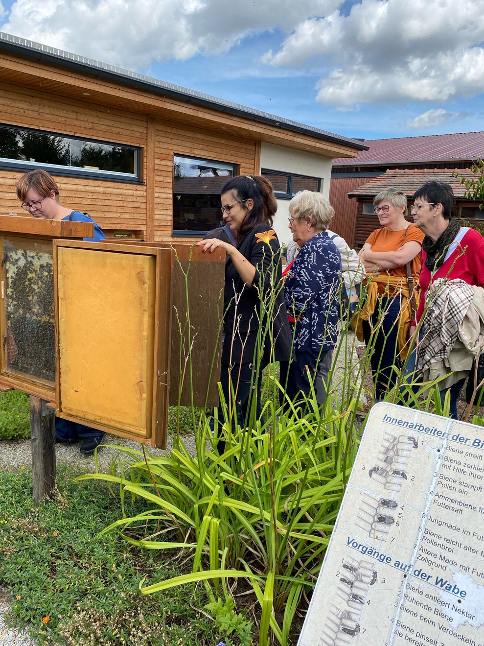 Führung im Garten der Bienen