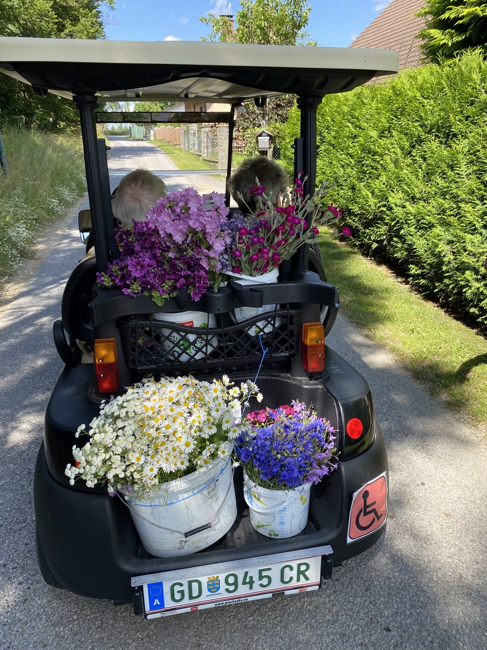 Mit vielen Blumen, wird zurück ins PBZ gefahren.