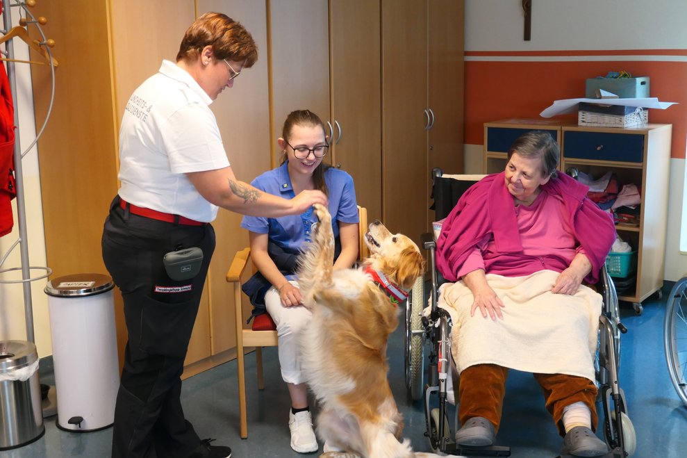 Trainerin zeigt Kunststücke mit dem Hund
