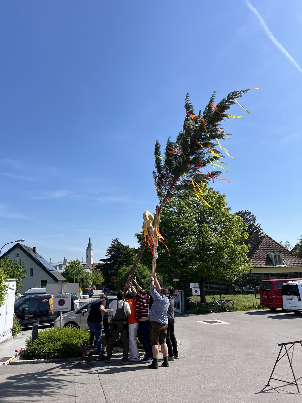 Maibaum aufstellen
