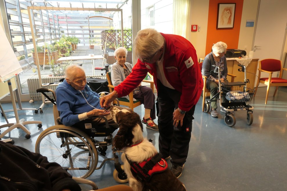 Der Besitzer übergibt Leckerchen für seinen Hund.