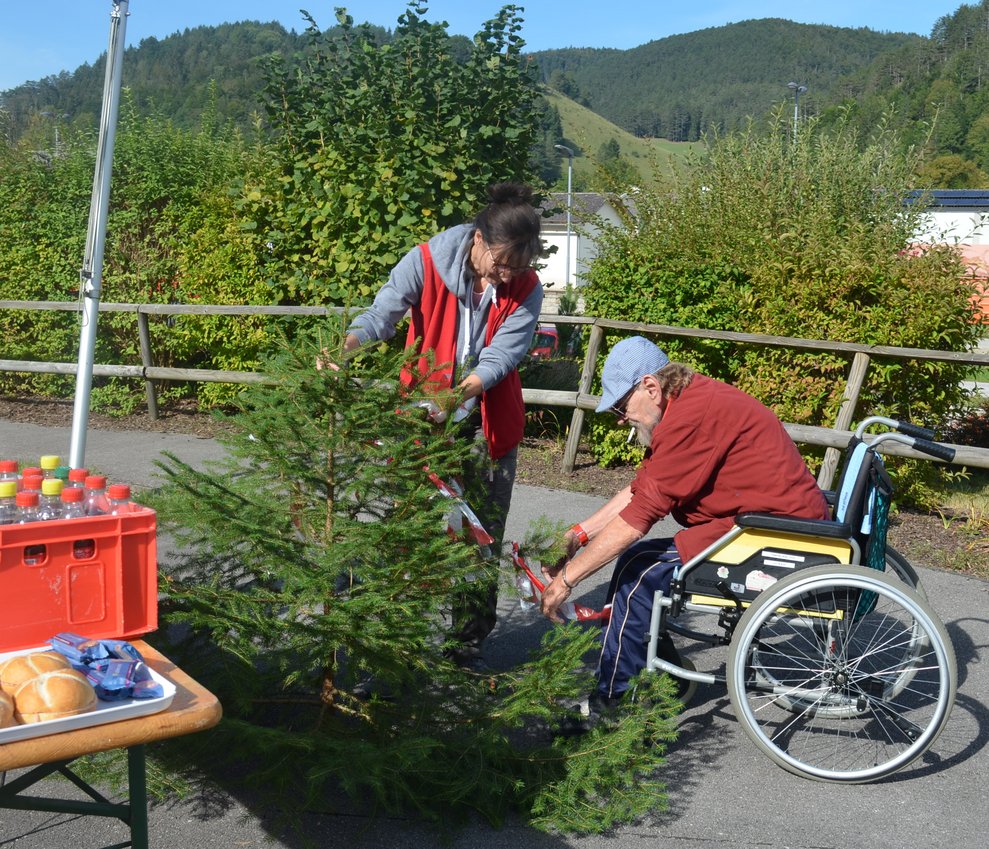 Bewohner schneidet Baum