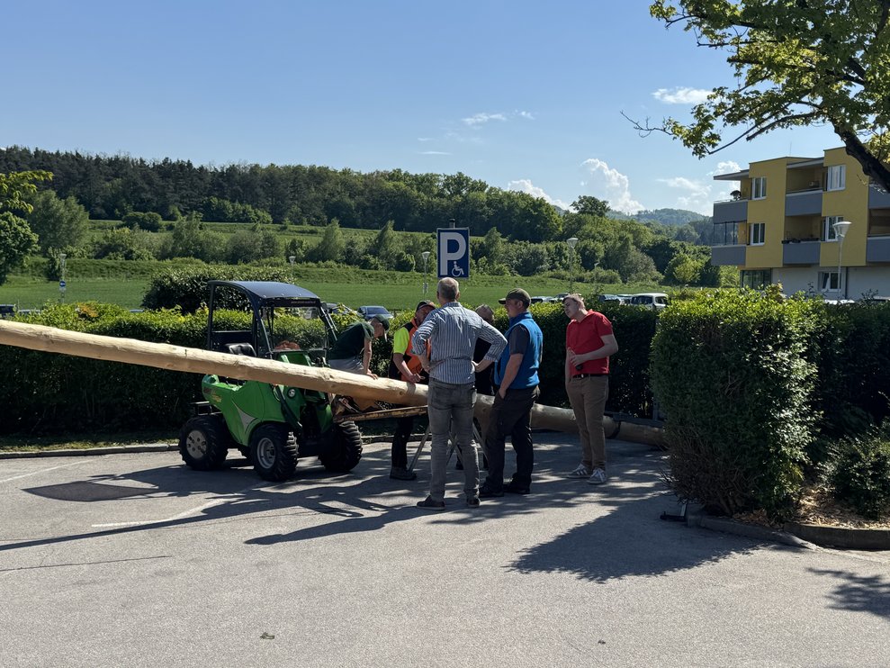 Maibaum