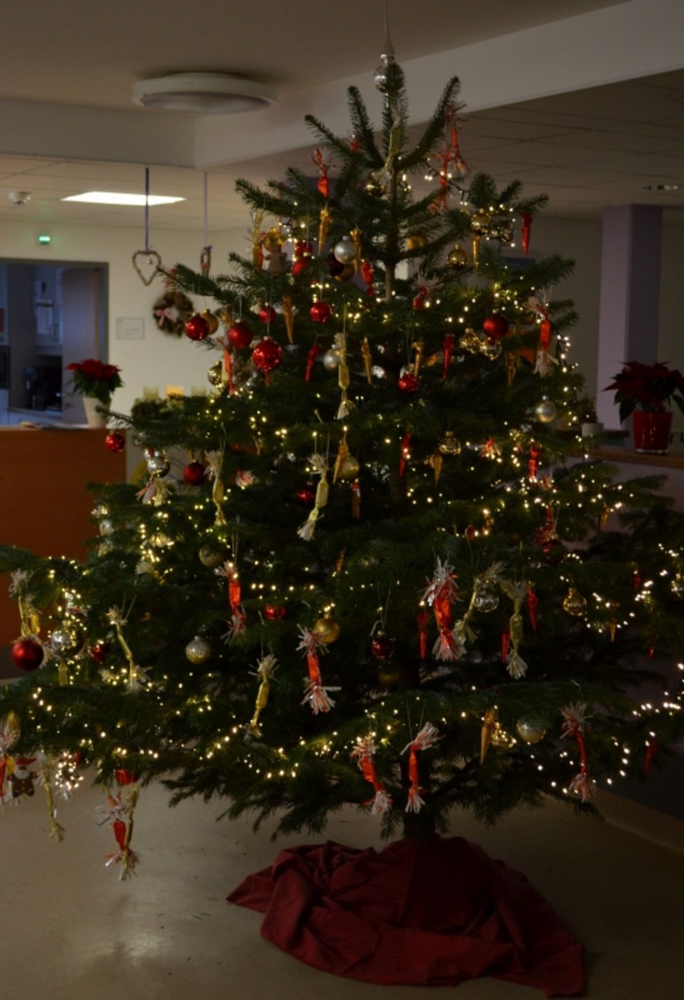 Ein geschmückter Christbaum.
