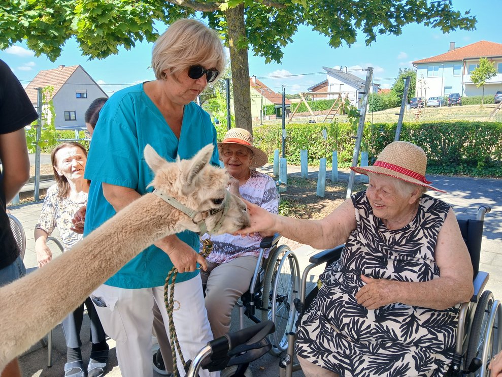 Bewohner mit Alpaka