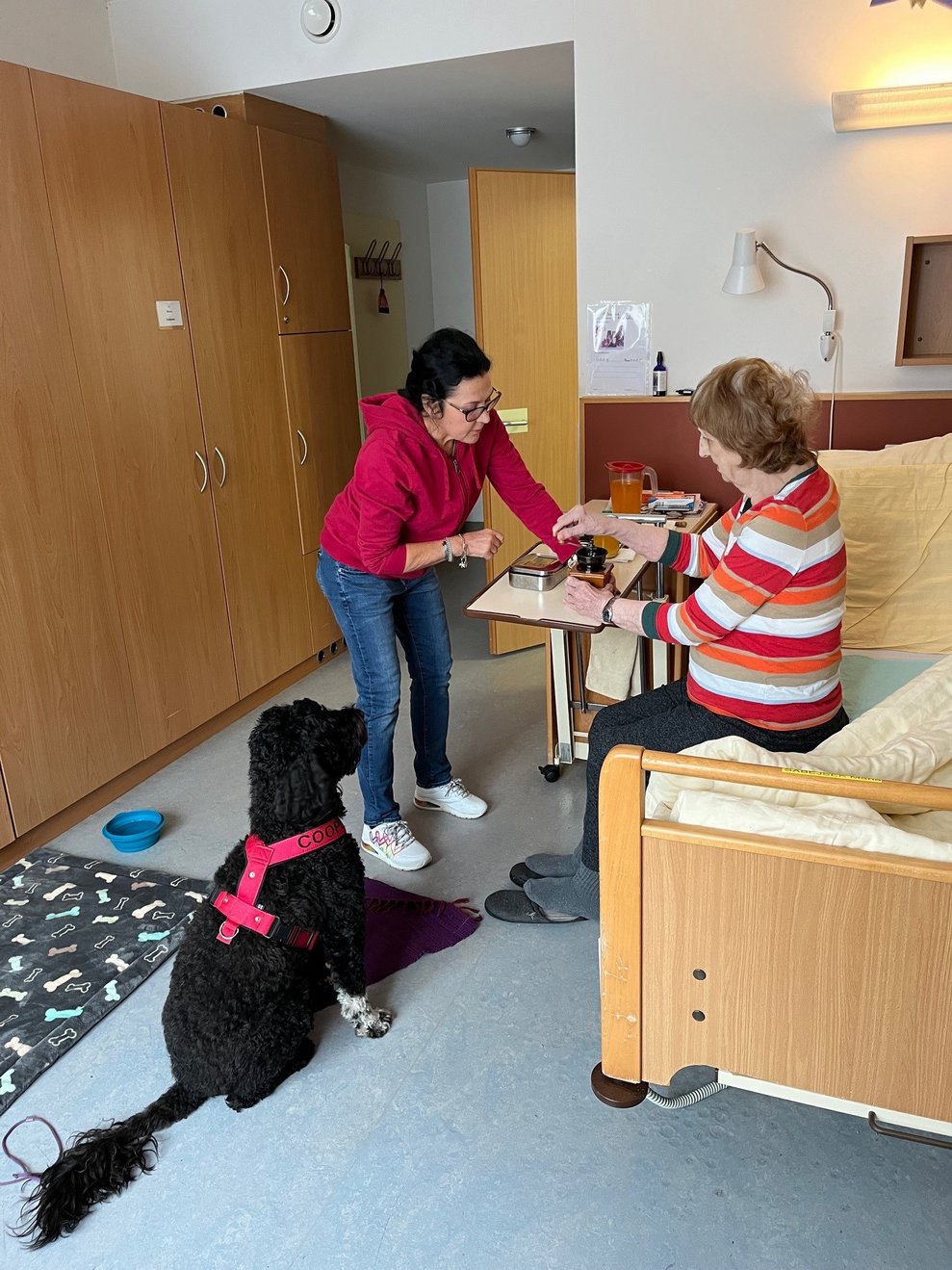 Hund mit zwei Menschen