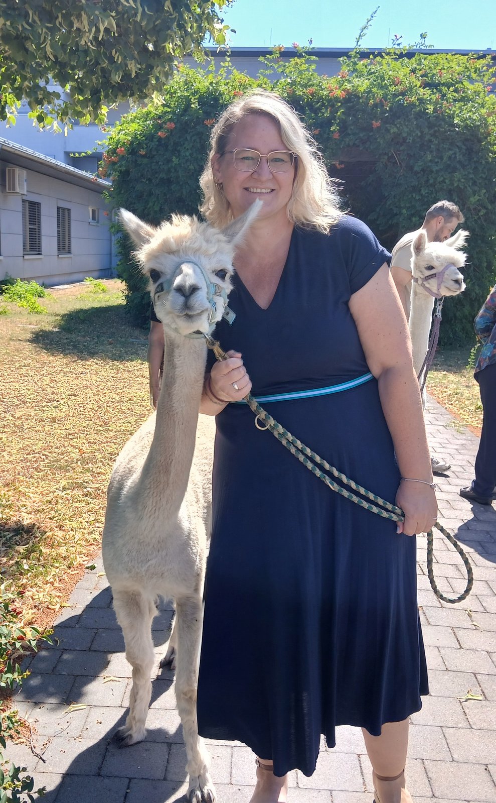 Frau mit Alpaka
