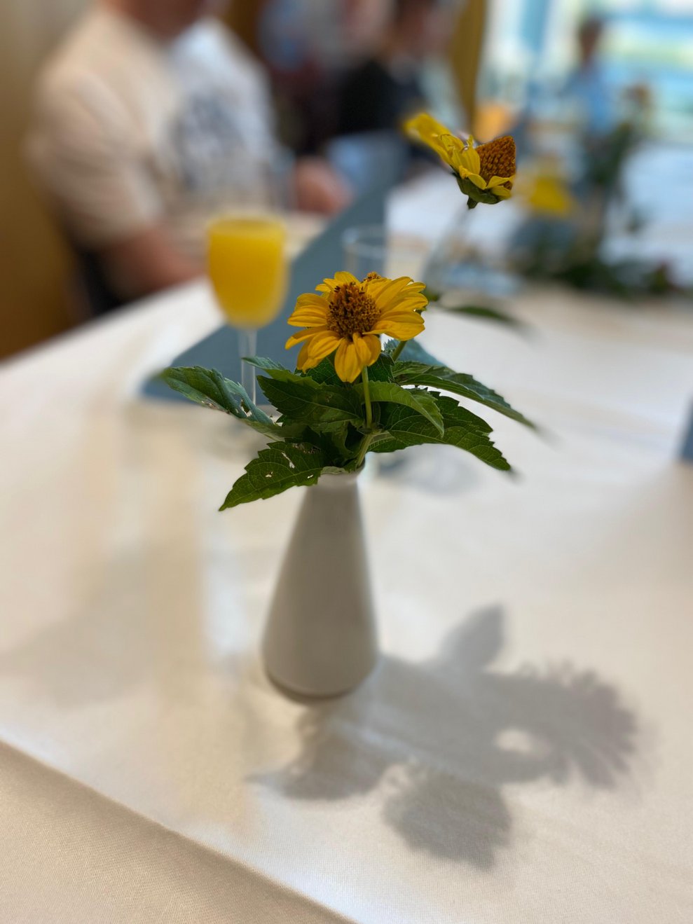 Gelbe Blume.