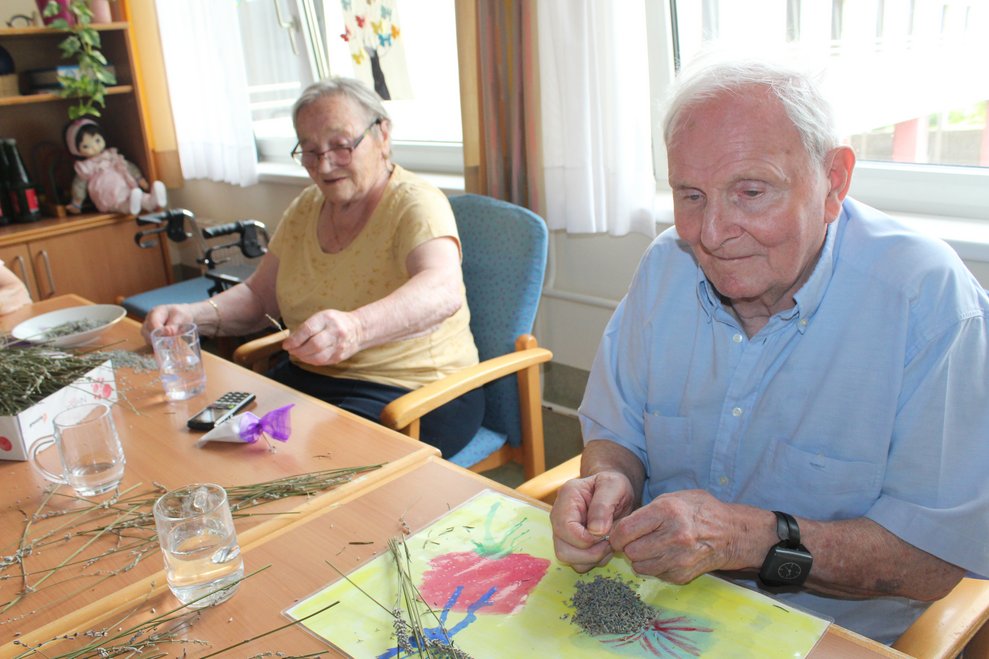 Lavendelsackerl