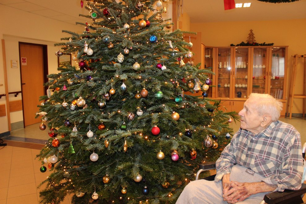 Christbäume schmücken