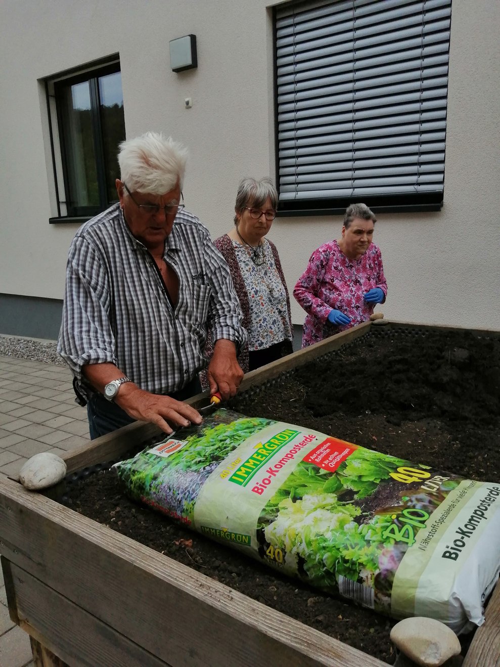 Hochbeet bepflanzen