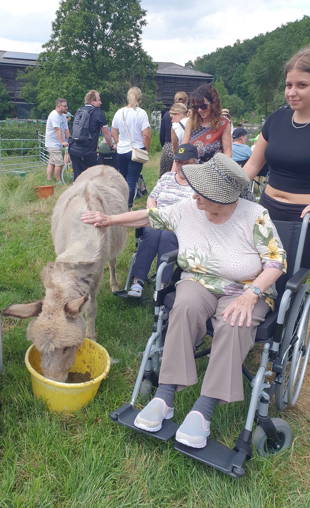 Das Streicheln von Tieren wirkt sich in vielerlei Hinsicht positiv auf unsere Bewohnerinnen und Bewohner aus.